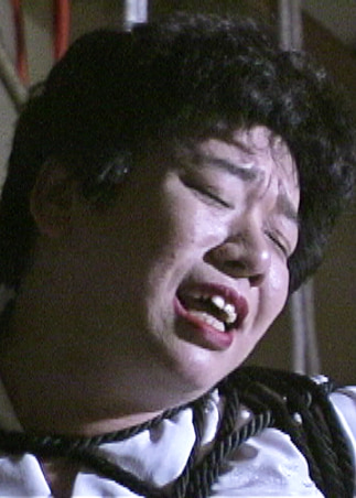 御主人様と女王様W調○ AXDVD0312R461663