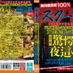 スクープ！とある地方の有名温泉旅館 元映画監督が温泉支配人と共謀 女性客を襲って撮った真冬の夜の驚愕の夜●いエロ動画19篇okax00986