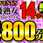 【福袋】VENUS最強まるごと14タイトル S級熟女コンプリートファイル 4800分vene00014