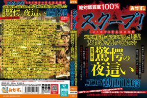 スクープ！とある地方の有名温泉旅館 元映画監督が温泉支配人と共謀 女性客を襲って撮った真冬の夜の驚愕の夜●いエロ動画19篇okax00986