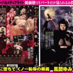 父の罠に堕ちて くノ一恥辱の奥義 風間ゆみ 前編