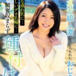 癒し系愛嬌人妻に気に入られたおじさん、スケベな垂れ乳に…いやらしいデカ乳輪に…興奮収まらず種付け！！ 向井こころ
